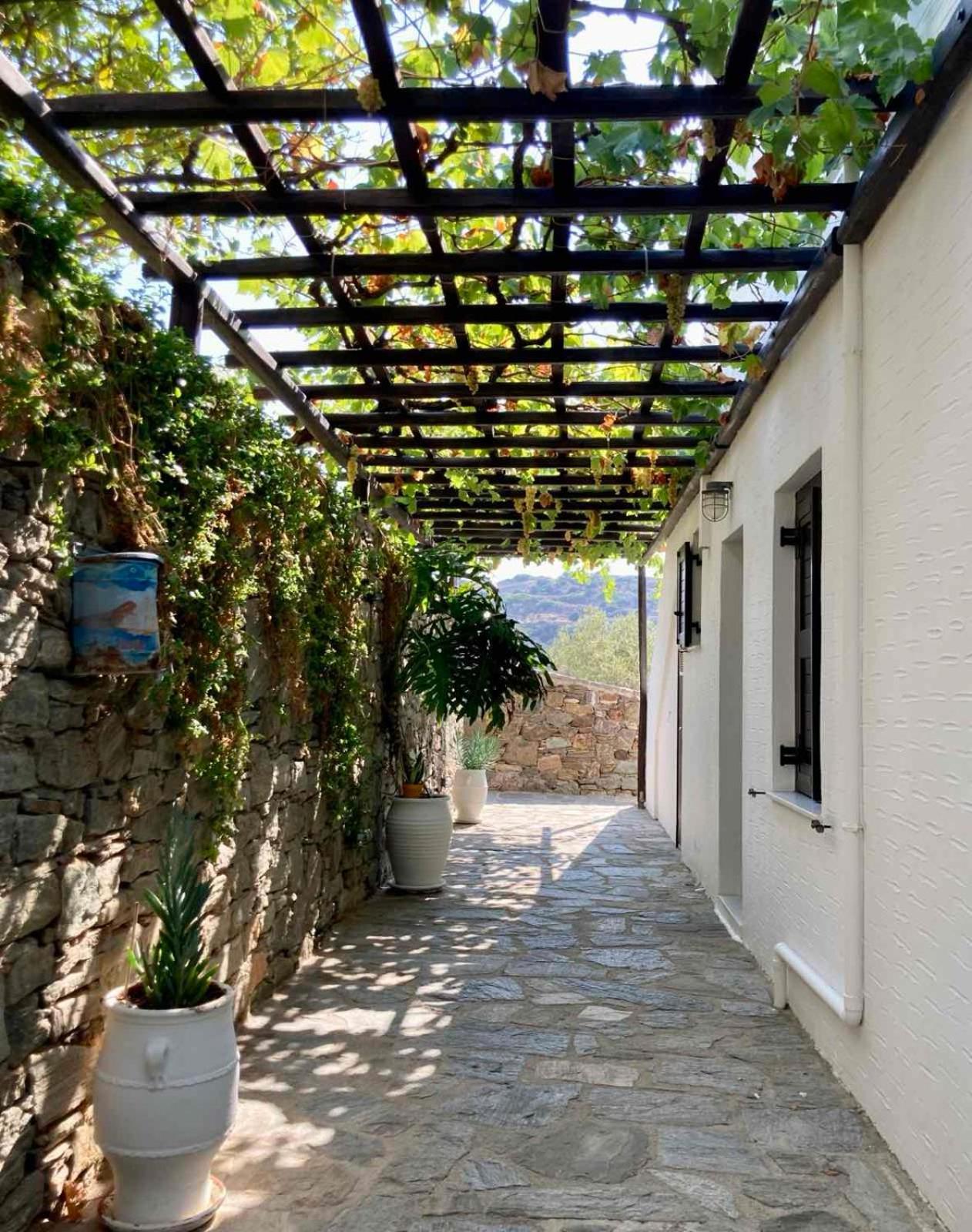 Syrou Lotos Studios & Apartments (Adults Only) Kini Kamer foto